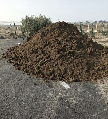 dibcək gulləri ev gulleri ve adlari: Torpaq, bağçılıq və ya tikinti işləri üçün yararlı ola bilər. Təmiz və — 4