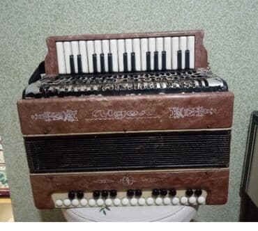 Fleytalar: Akustik Akkordeon — 6