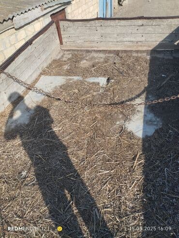 aqrar kend teserrufati texnika traktor satis bazari: Təkərləri super mator yeni yığılıb disqiləri pambıq diskləri hava — 9