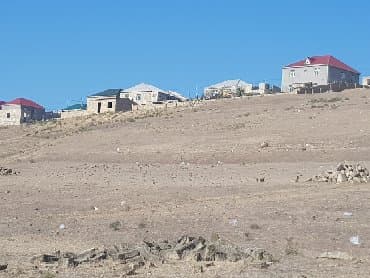 findiq agaci satilir: 16 sot — 3
