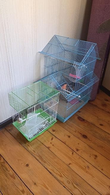 xiao: Xiaomi 13T, 256 GB, rəng - Mavi, 
 Sənədlərlə — 5