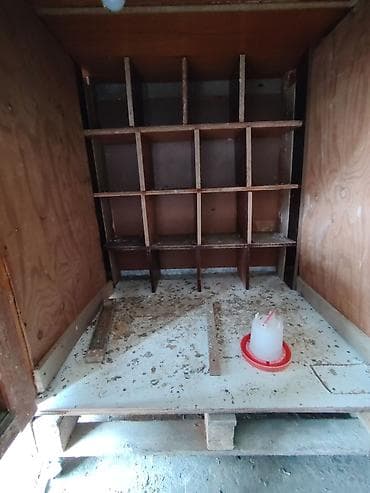 Təkərli taxta quş/heyvan qəfəsi – çox bölməli - Material: taxta lalafo.az -da Təkərli taxta quş/heyvan qəfəsi – çox bölməli - Material: taxta