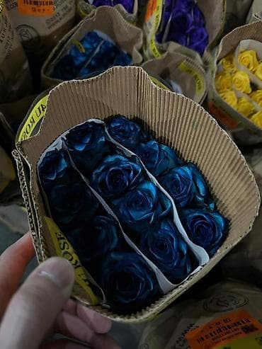 birja com masaj: Florist, Qadın, 40 yaş, 1-2 illik təcrübə — 1