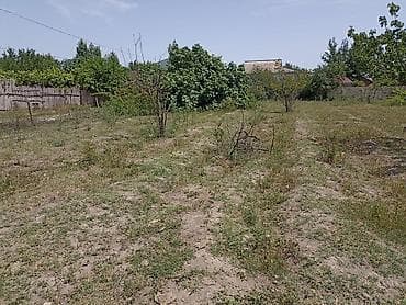 icareye meyve terevez dukani: 15 sot, Kənd təsərrüfatı — 6