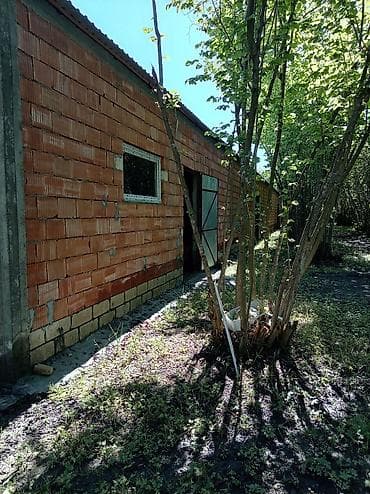 kafe arenda 2021: Satılık təsərrüfat/istehsalat obyekti - Geniş qapalı istehsal/saxlama — 7