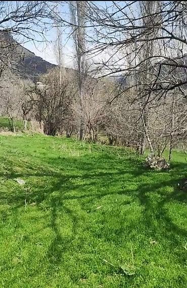 Kənd təsərrüfatı lalafo.az -da Kənd təsərrüfatı