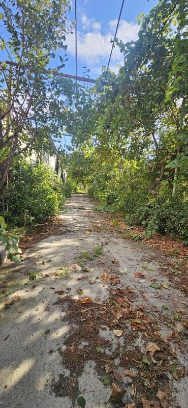 аренда продажа земельных участков: 48 sot, Kənd təsərrüfatı, Kupça (Çıxarış) — 17