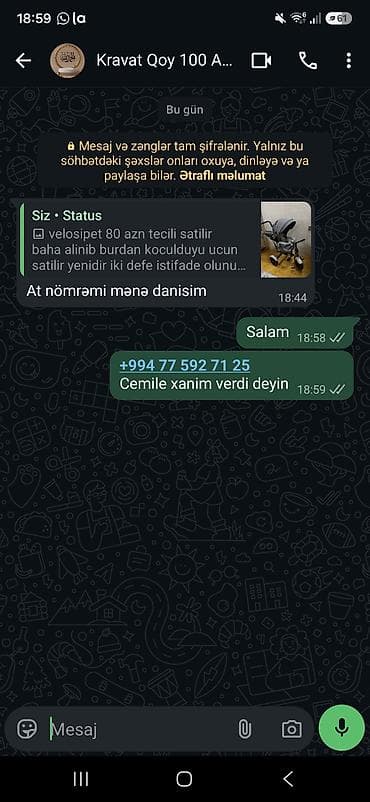 Mağaza avadanlığı: AyselbanuVitrinlər satılır ‼️ - 10 kvadratlıq yer üçün uyğun komplekt — 2