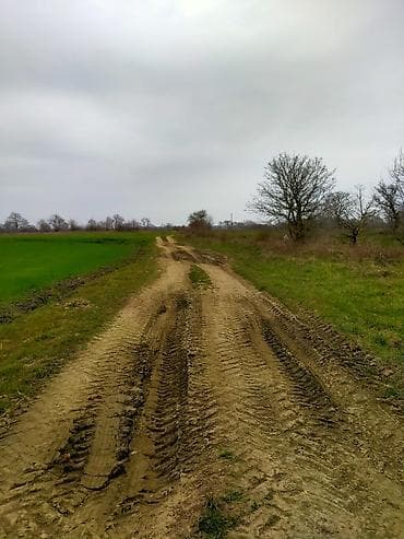 6 mk kiraye evler: 300 sot, Kənd təsərrüfatı, Mülkiyyətçi, Kupça (Çıxarış) — 5