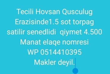 1 sot, Tikinti, Maklerlər narahat etməsin, Kupça (Çıxarış)