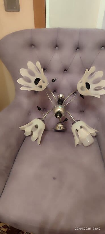 Yaxşı vəzyətdədi 4 gözünü hamısı işləyir