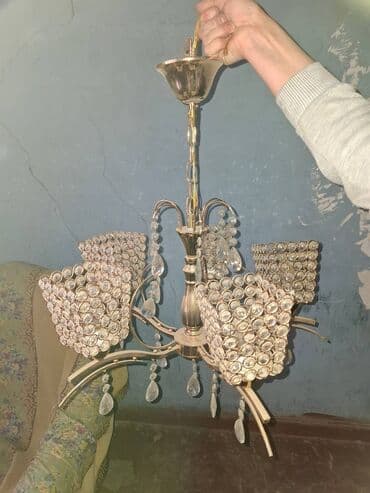 orxideya guli: Çılçıraq, 5 lampa — 4