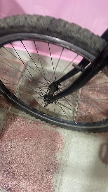 velo icarə: Təcili satilir 50manat əl yandi uvan sulutepe — 3