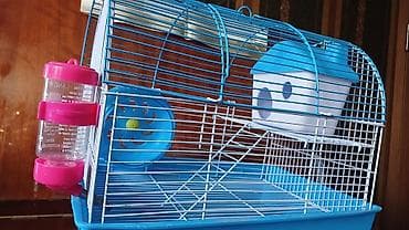böyük qefes: Hamster qəfəsi – tam komplekt - Rəng: mavi (metaldan barmaqlıqlar — 3