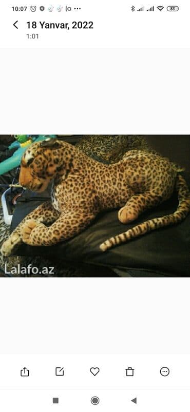 hündür uşaq krossovkaları: Bəbir oyuncaq, böyükdü, 20 man — 1