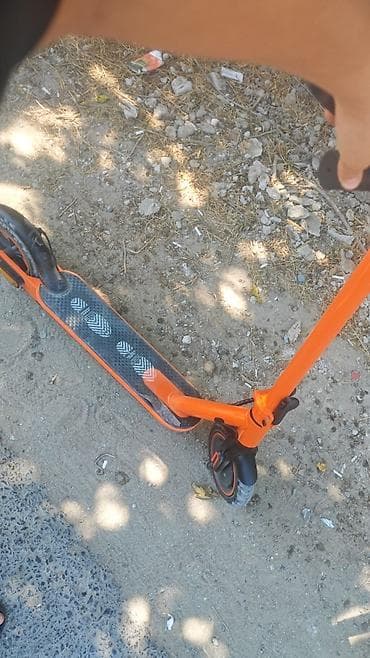debilqe satisi: 4 gunun sukteri di heç sürülməyib 45 gedir - Parlaq narıncı rəngli — 1