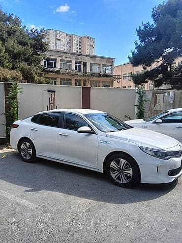 mini kia: Aylıq, Günlük, saatlıq şofer öz maşını ilə. KIA Optima Plug-in Hybrid — 1