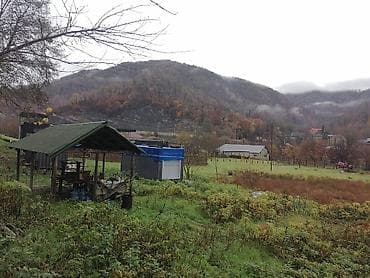ramanada torpaq: TƏCİLİ SATILIR – Lerik, Hamarmeşə kəndi, 30-cu km Esas yola 50 metr — 4