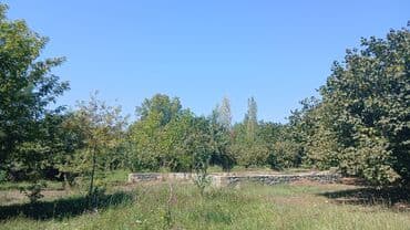 недвижимость в кусарах: 30 sot, Tikinti, Mülkiyyətçi, Kupça (Çıxarış) — 4