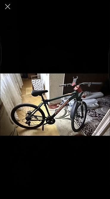 28 velosiped: Forward velosipedi ideal veziyyetde saxlamağa yer yoxdu deye satılır — 1