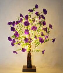 “Hər hədiyyə bir sevincdir ✨”