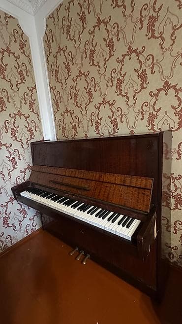 gitara ucun pedal: Piano, Belarus, Akustik, İşlənmiş, Ünvandan götürmə — 2