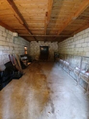 Otaqlar: Ferma təsərrüfatı üçün hazır təsərrüfat sahəsi və tikililər - — 10