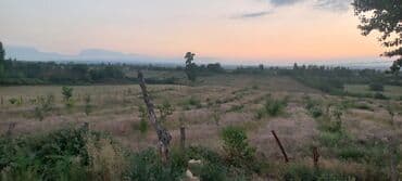 mağaza üçün yer icarəyə götürürəm: Ünvan: Qusar şəhəri Ləyər kəndi (ləzgi ləyər) 1hk 68 sot bağ yeri — 18