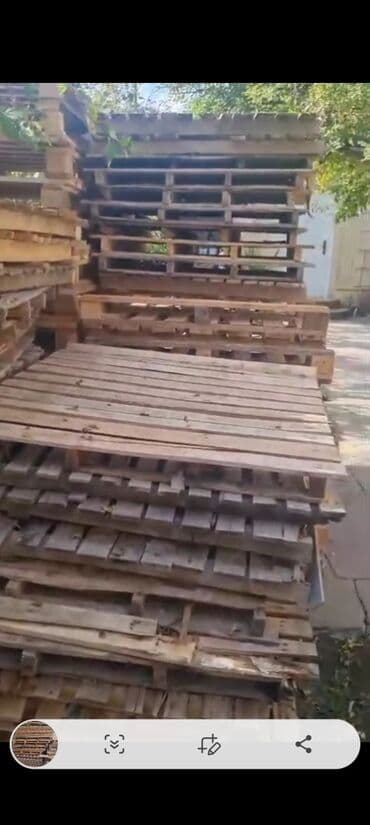 алчипан цена в баку: Satilir 55 eded.200manat xutor — 2