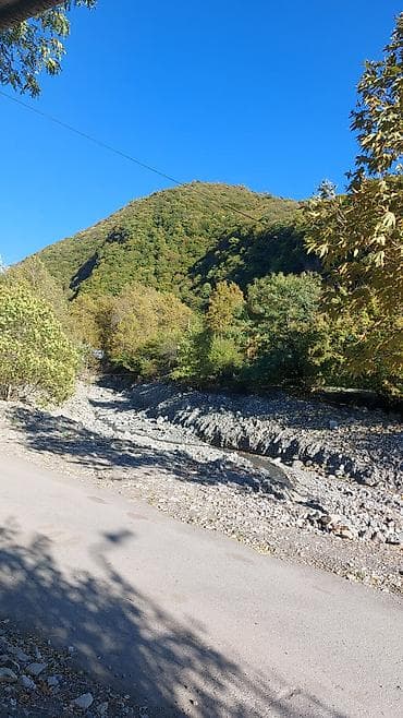 4 sot, Tikinti, Makler, Kupça (Çıxarış)