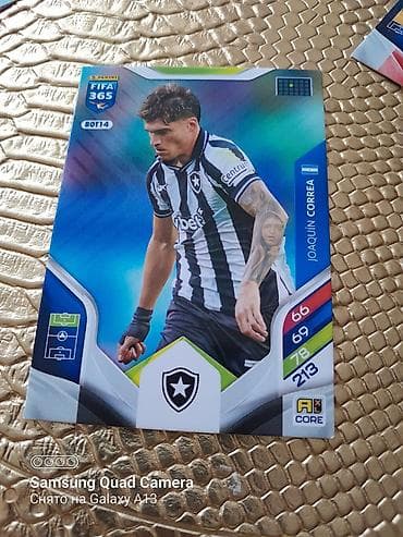 beta baligi: Hamısı 7 manMəhsul: Panini futbol ticarət kartları – “HERO” seriyası — 7