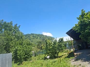 biləcəri kirayə evlər 2024: Təcili Qəbələ rayonu Nohurqişlaq kəndi Nohur gölü ilə üz üzə 6 sot dağ — 2