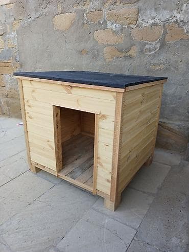 it evi: Taxta it evi — 3
