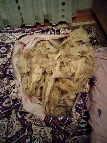 it sekilleri: Məhsul: Təbii qoyun yunu – döşək, yorğan, yastıq doldurmaq üçün — 1
