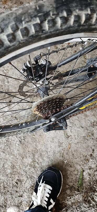 velosiped alman: Real aliciya gözəl endirim olacaq,tekce problem superi islemir — 3