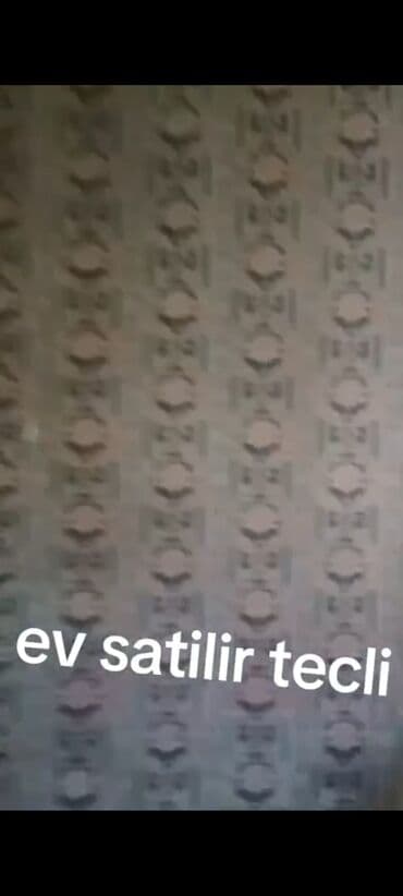 qəbələ laza kəndi kirayə ev: 2 otaqlı, 20 kv. m, Kredit yoxdur, Orta təmir — 4