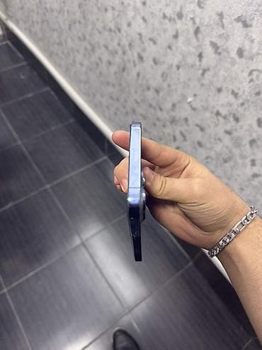 scanner: IPhone 13 Pro Max, 256 GB, Graphite, Face ID — 2