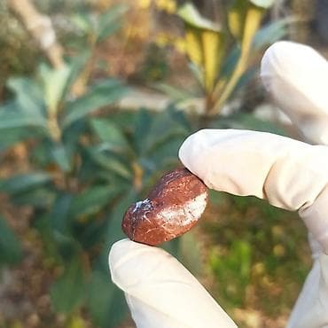 sitrin daşı: Təbii Jasper daşı Satılır 💎 - Material: təbii jasper (yarıqiymətli — 10