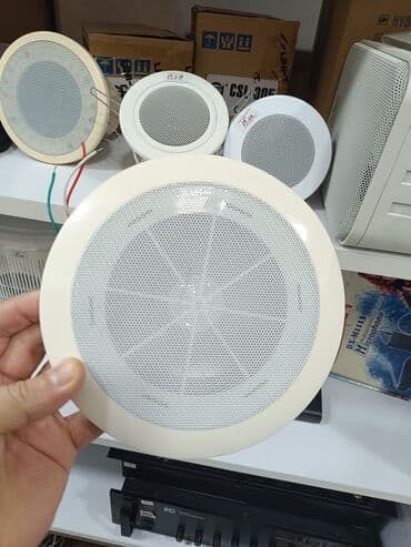 Pulsuz: Tronix Tavan dinamiki, TCSP-50T modeli. Ağ rəngdə, dairəvi formalı — 1