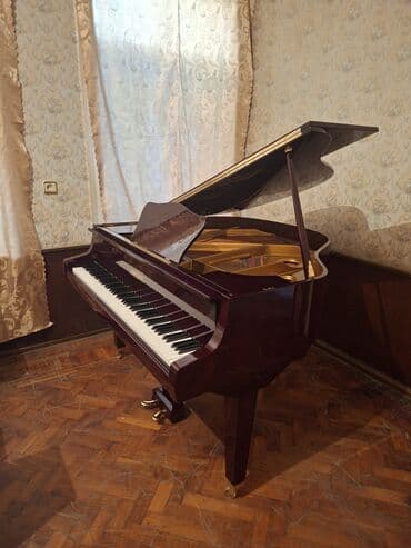 Musiqi alətləri: Royal, Akustik, Yeni, Pulsuz çatdırılma — 3