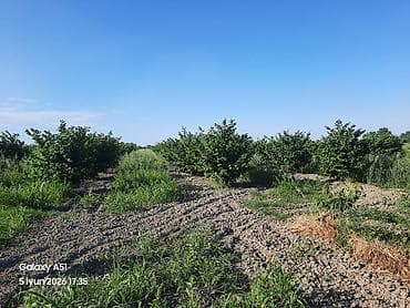 sirvan ev: 2 sot, Kənd təsərrüfatı, Mülkiyyətçi, Kupça (Çıxarış) — 9