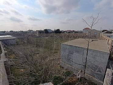 24 sot, Kupça (Çıxarış) — 2