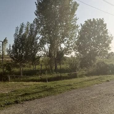 divanlar ucuz: Salamı aleykum İsmayıllı rayonunda özündə belə bir gözəl torpaq sahəsi — 4