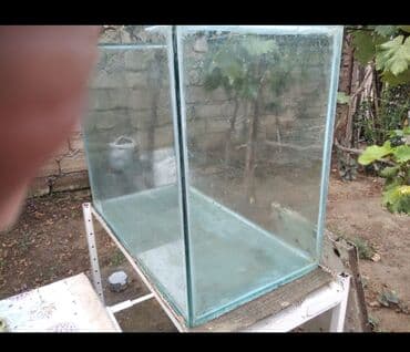 akvarum matoru: 3 ədəd akvarium en yekesi 300litr tutur heyətdə çekilen 150litr — 6