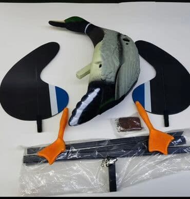 manken başı: Uçan qanadlı ördək maketi – ov və quş cəlbetməsi - Realistik mallard — 4