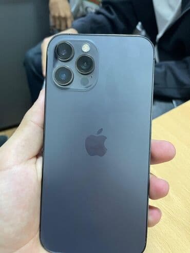 ipad mini 2: IPhone 12 Pro Max, 256 GB, Graphite, Face ID — 1