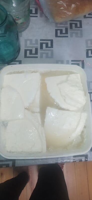 keci sutu: Əlaqə:099-708-11-03 — 1