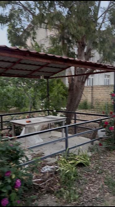 bide: Heyet ve bag ucun keyfiyetli matreallardab gazirlanmiw hazir — 5