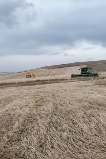 Kənd təsərrüfatı, Müqavilə