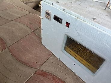 inkubator cucesi: 100 yumurta, Azərbaycan, Tam avtomat, Bütün növ quşlaq üçün — 1